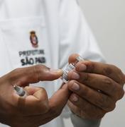 Covid-19: novo estudo sugere que coronavírus surgiu em morcegos