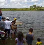 Codevasf investe para desenvolver atividade agropecuária no Sertão de Alagoas 