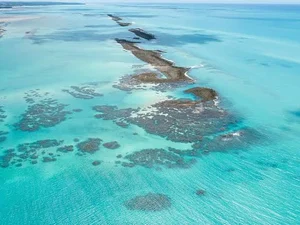 Ampliação da APA Costa dos Corais beneficia ecossistema e comunidade pesqueira tradicional de Alagoas