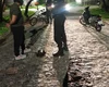 Polícia prende suspeitos de furtar veículo em estacionamento de shopping em Maceió
