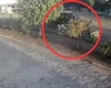 Idoso que trafegava de bicicleta é atropelado por caminhonete em Arapiraca