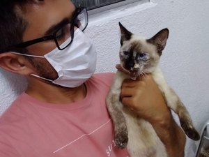 Animais abandonados em Maceió ganham heróis durante pandemia de Covid-19