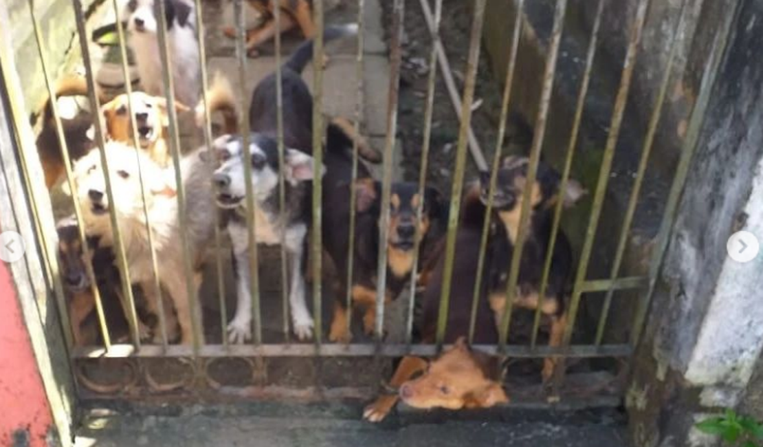 Polícia Civil apura denúncia de maus tratos a animais na Santa Lúcia