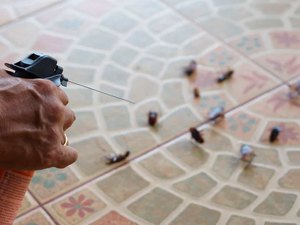 Baratas estão se tornando imunes a inseticidas, diz estudo