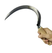 Homem invade casa com facão e foice, ameaça ex e joga tijolo contra filha em Rio Largo