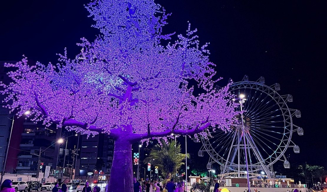 Iluminação de Natal no Parque Massay-ó-k encanta maceioenses e turistas