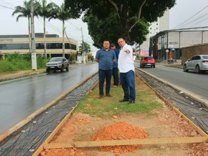 Canteiro central da Avenida Ceci Cunha ganha revitalização em Arapiraca
