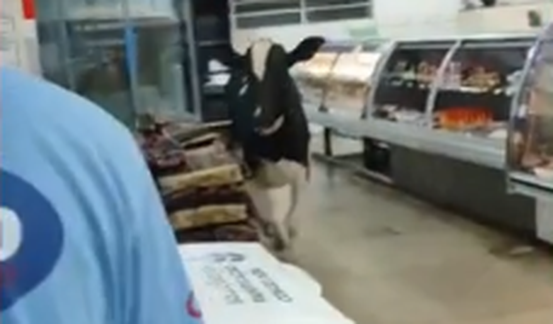 Boi invade supermercado, corre atrás de açougueiro e causa tumulto em MG