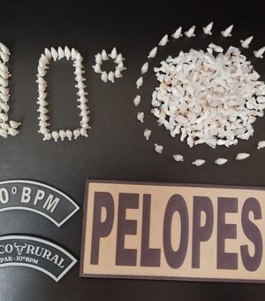 PM inicia mês de maio com 21 armas de fogo retiradas de circulação em Alagoas