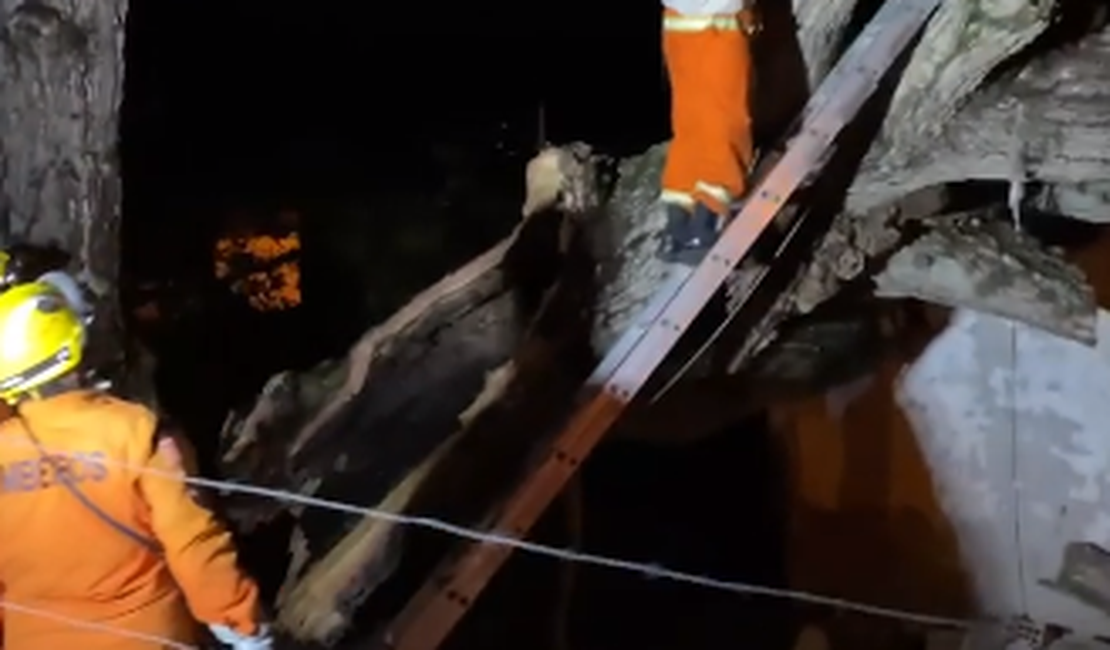Raio atinge árvore centenária que desaba em residências na cidade de Santana do Ipanema