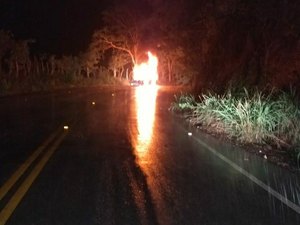 Carro é incendiado após capotamento em Quebrangulo