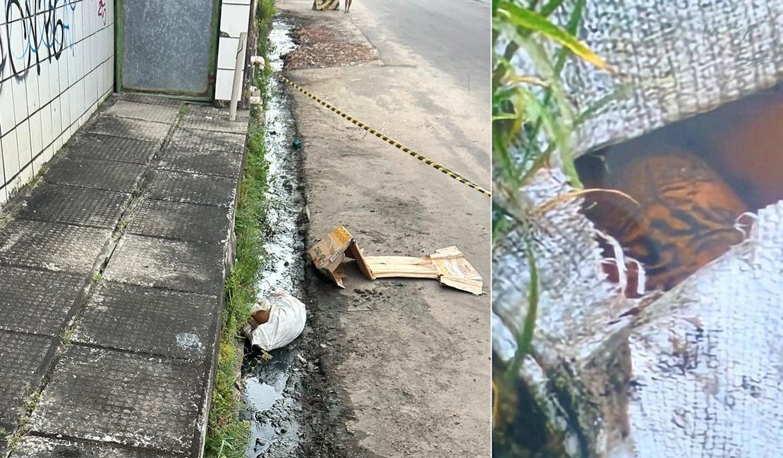 Corpo esquartejado é encontrado dentro de saco plástico no bairro do Jacintinho
