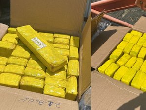 Capítulo bíblico estampa embalagens de 500 kg de maconha apreendidas em São Sebastião