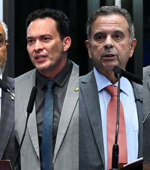 Novo Desenrola aguarda comissão mista, e divide opiniões no Senado