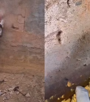 Cachorro fica preso entre paredes e bombeiros abrem buraco no muro para resgate em Colatina