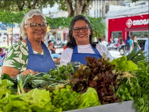 Circuito de Regional de Feiras movimenta o Agreste com sabores, cores e histórias do campo