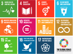 Chega em Maceió a primeira edição do World’s Lagerst Lesson