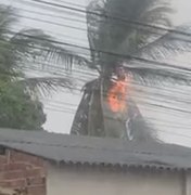 Raio atinge coqueiro e provoca incêndio durante forte chuva em Arapiraca