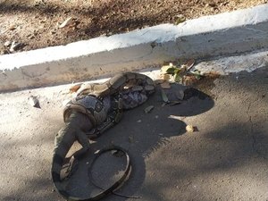 Jiboia fica com rabo de iguana pra fora da boca ao tentar devorá-la em parque de Palmas