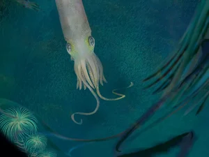 Fóssil de polvo com dez braços de 325 milhões de anos leva nome em homenagem a Joe Biden