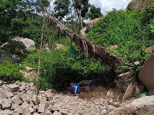 Ação conjunta apreende espingardas e resgata pássaros silvestres no interior de Alagoas