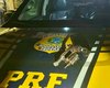 PRF recupera veículo roubado e prende suspeito armado em Pilar