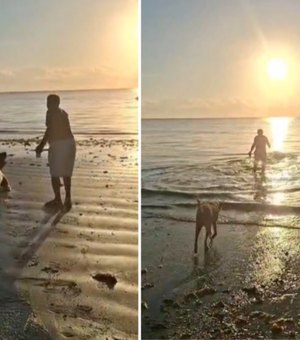 Elefante-marinho é importunado por banhista em Paripueira e biólogos alertam para perigo de mordida