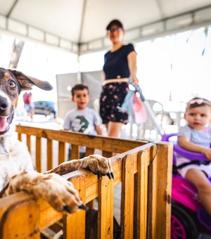 Prefeitura de Maceió investe no bem-estar animal