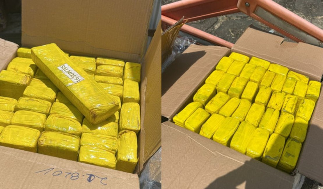 Capítulo bíblico estampa embalagens de 900 kg de maconha apreendidas em São Sebastião