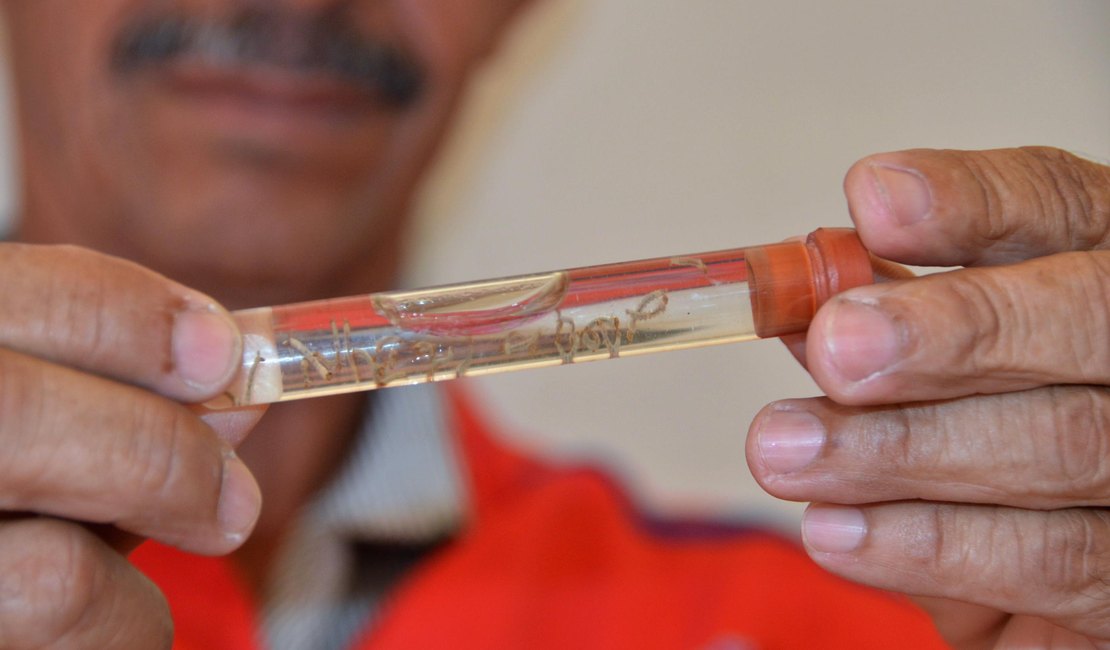 Chegada do Verão acende sinal de alerta para prevenção contra a dengue em AL