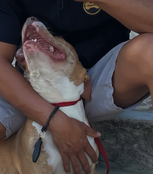 JP Adestramento Canino adverte sobre negligência e manejo de pitbulls em Arapiraca