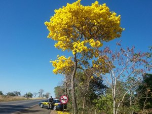 PRF intensificará fiscalizações temáticas durante o feriadão