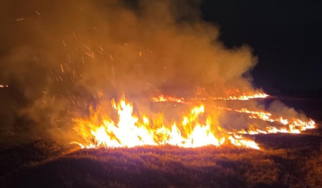 Corpo de Bombeiros registra 16 incêndios em vegetação em um único dia em Alagoas