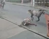 Casal cai de cavalo durante trajeto em alta velocidade em Arapiraca