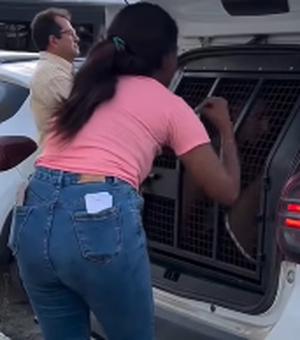 'Você não tem necessidade de fazer isso': mulher grita com preso por suspeita de roubos