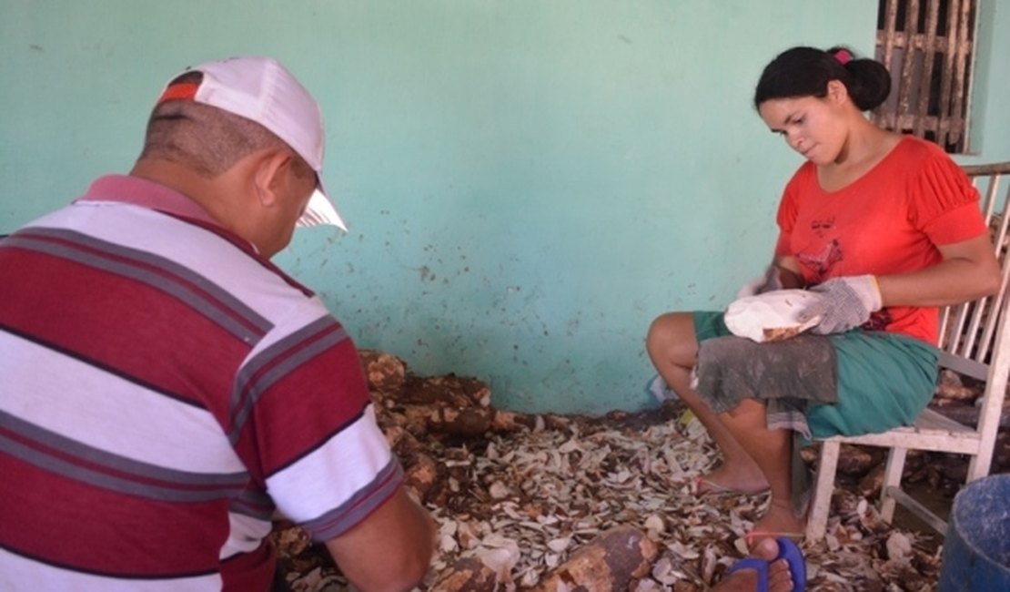 Famílias do povoado Mata Limpa comemoram reativação de Casa de Farinha