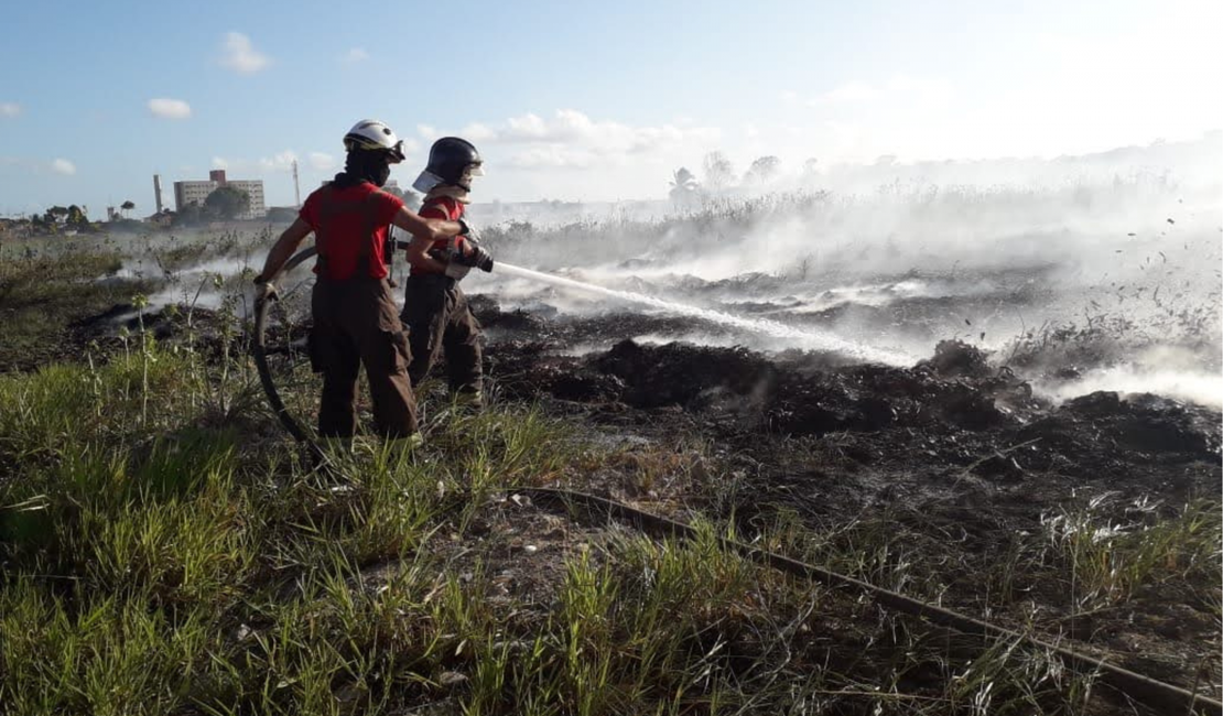 Bombeiros combatem incêndio em vegetação de Palmeira dos Índios