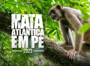 MPAL participa da 6ª edição da Operação Mata Atlântica em Pé