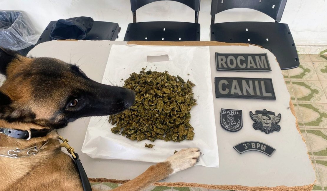 Adolescente é apreendido portando maconha após denúncia em Arapiraca