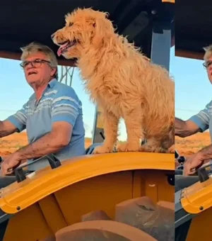 Que grude! Amizade entre cachorro 'carrapato' e tutor conquista a web