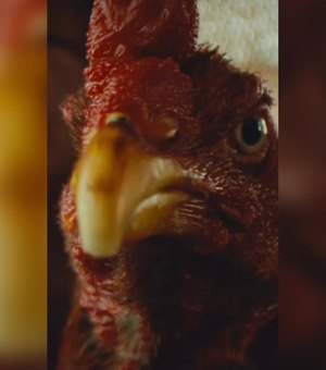 ‘Vídeo da galinha’; o sucesso da peça publicitária do governo Paulo Dantas que viralizou