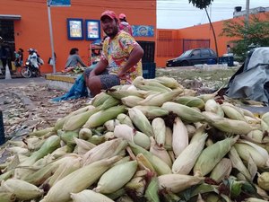 [Vídeo] Venda de milho verde aquece a economia informal em Arapiraca durante o São João