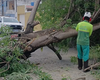 Árvore cai, derruba poste e atinge residência no bairro da Jatiúca, em Maceió