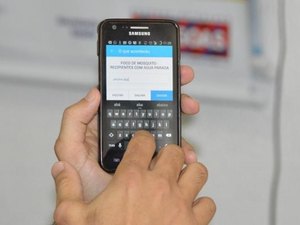 Aplicativo registra 943 denúncias de focos do mosquito Aedes aegypt