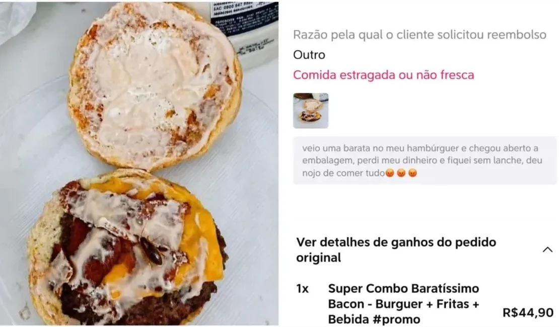 Hamburgueria diz que cliente usou IA para criar barata e pedir reembolso