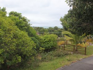 Sesc Guaxuma realiza ações de reflorestamento da Mata Atlântica