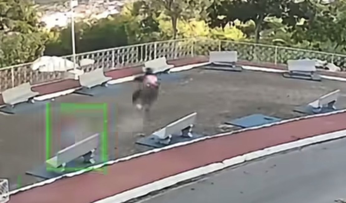 Motociclista fica em estado grave após acidente na Serra do Goiti, em Palmeira dos Índios