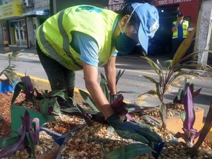 Prefeitura de Maceió já plantou mais de 2 mil mudas de árvore em espaços públicos