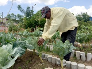 Iniciativa sustentável acaba com descarte irregular em comunidades de Maceió