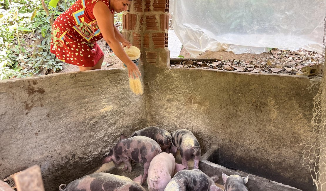 Primeira parcela do programa Fomento Rural é paga a agricultores familiares a partir de terça-feira (18)